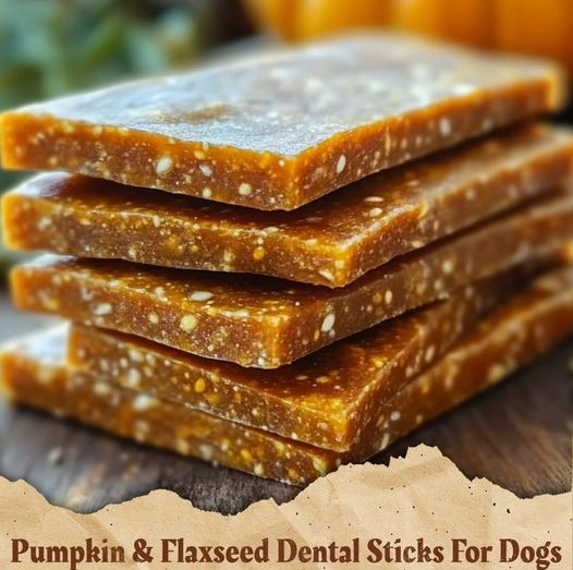 Homemade Dental Treats: Pumpkin and Flaxseed Sticks Your Dog Will Love