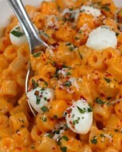 Homemade Creamy Vodka Sauce with Ditalini Pasta